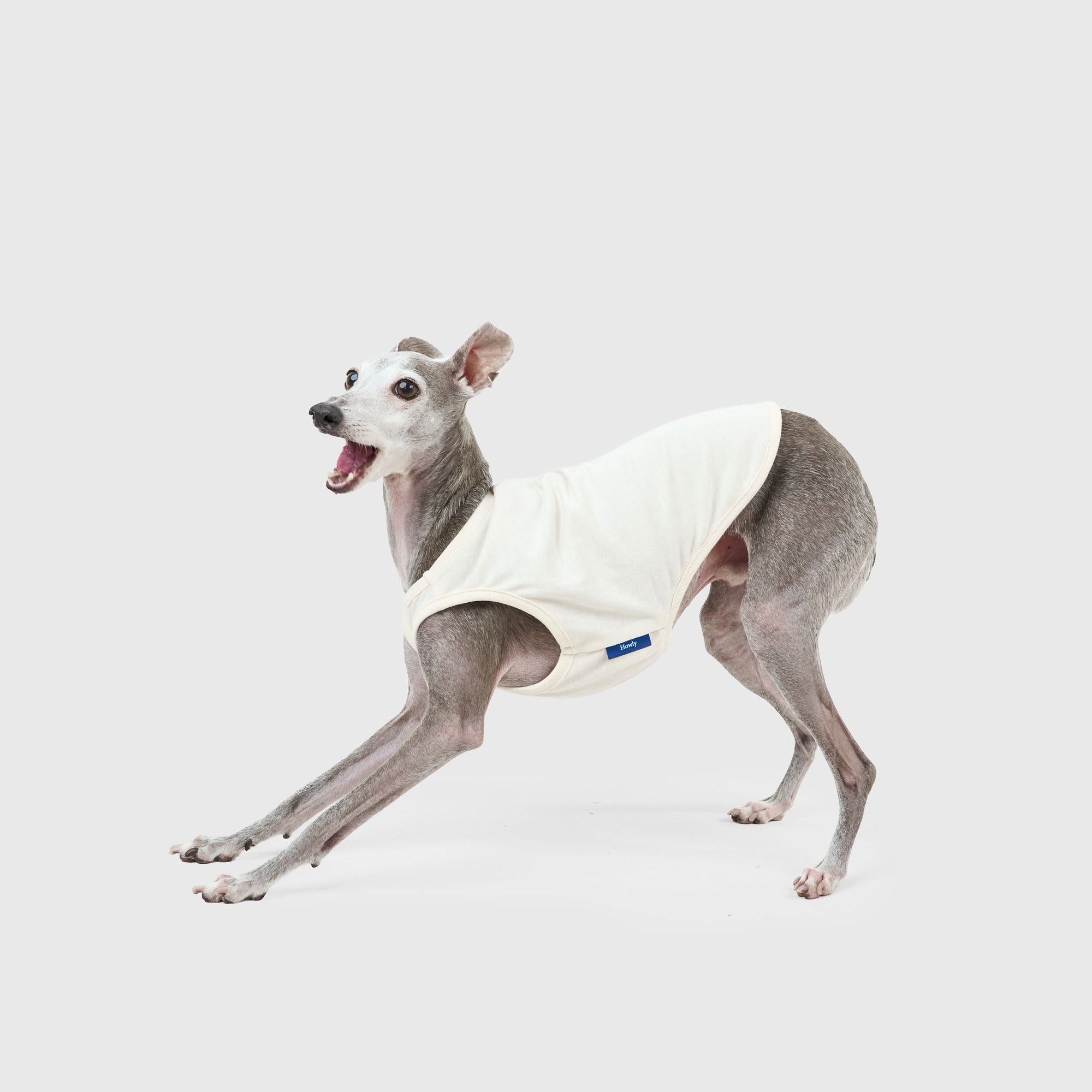 DOG PACK T-SHIRTS sleeveless (Green)