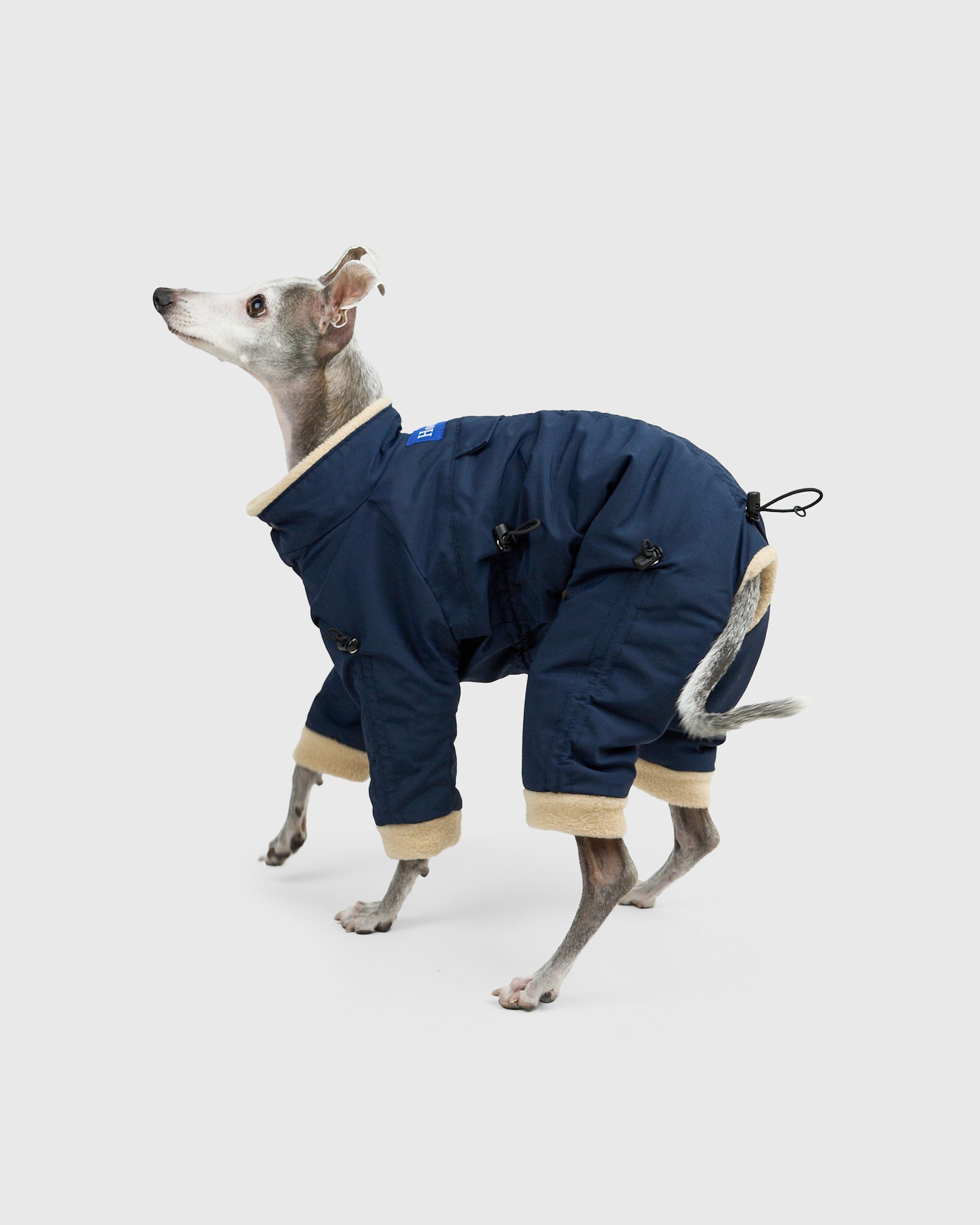 Howly APOLLOSUITS Mサイズ ドッグスーツ APOLLO SUITS | Howly | 調整機能と保温性を備えた、ミニマルなドッグ