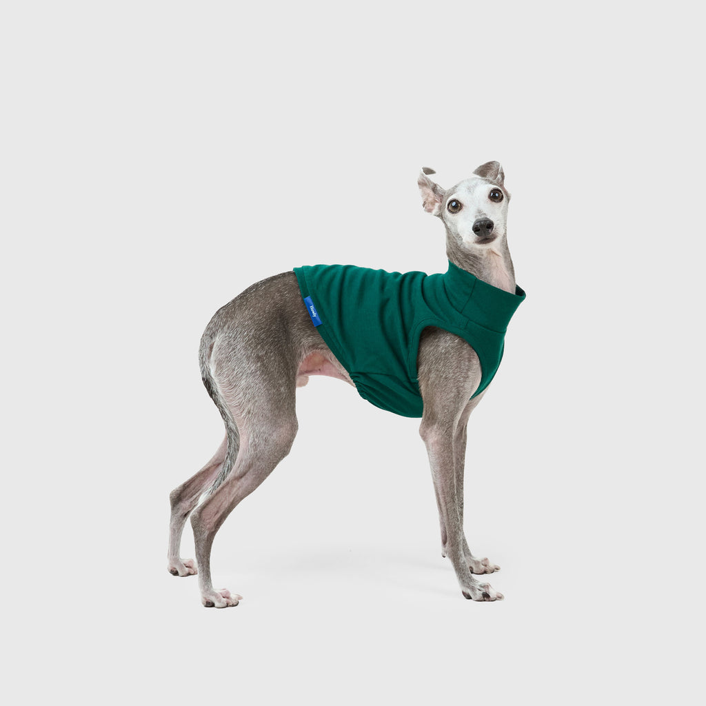 DOG PACK T-SHIRTS sleeveless (Green)