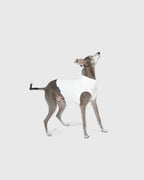 DOG PACK T-SHIRTS sleeveless (Border)