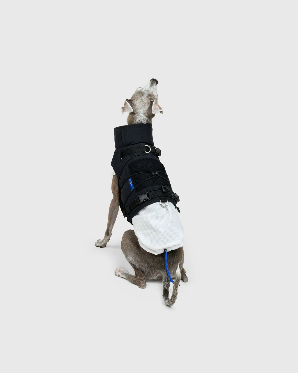FRAME-X ADV HARNESS