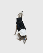 FRAME-X ADV HARNESS