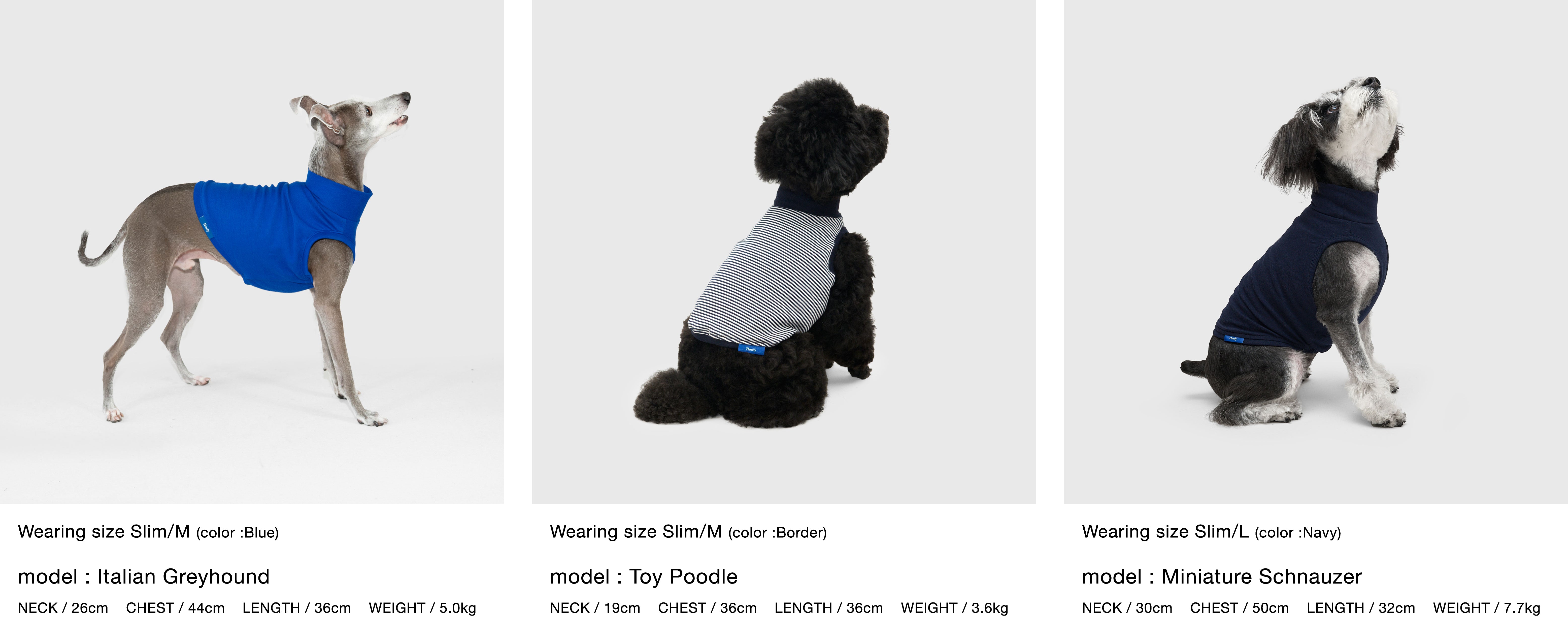 Megumi Yamazaki × DOG PACK T-SHIRTS Project (DPP) | ドッグパックT2