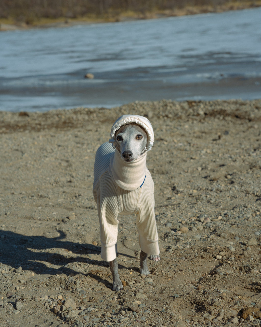 DOG PUFF BALACLAVA 使用イメージ