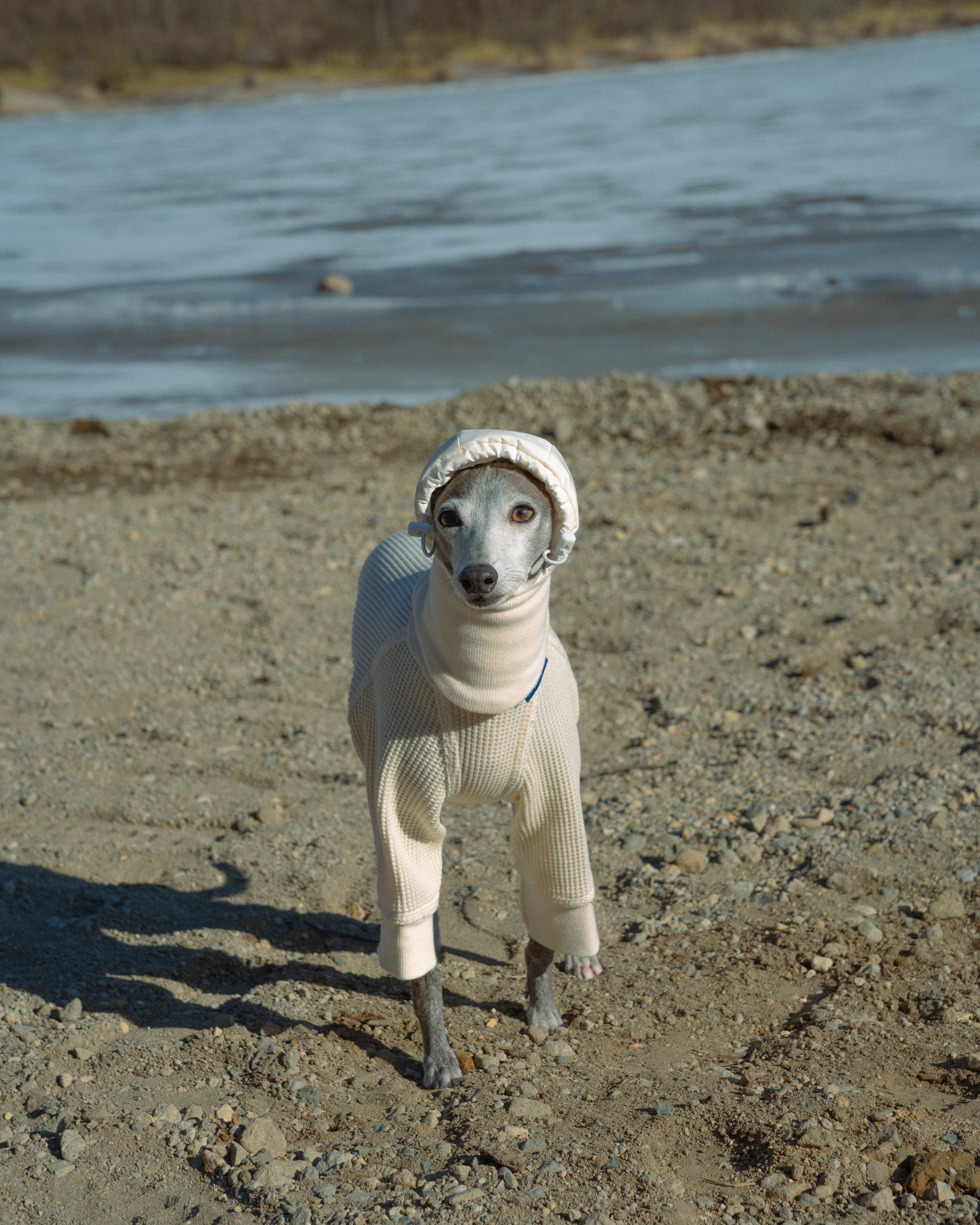 DOG PUFF BALACLAVA 使用イメージ