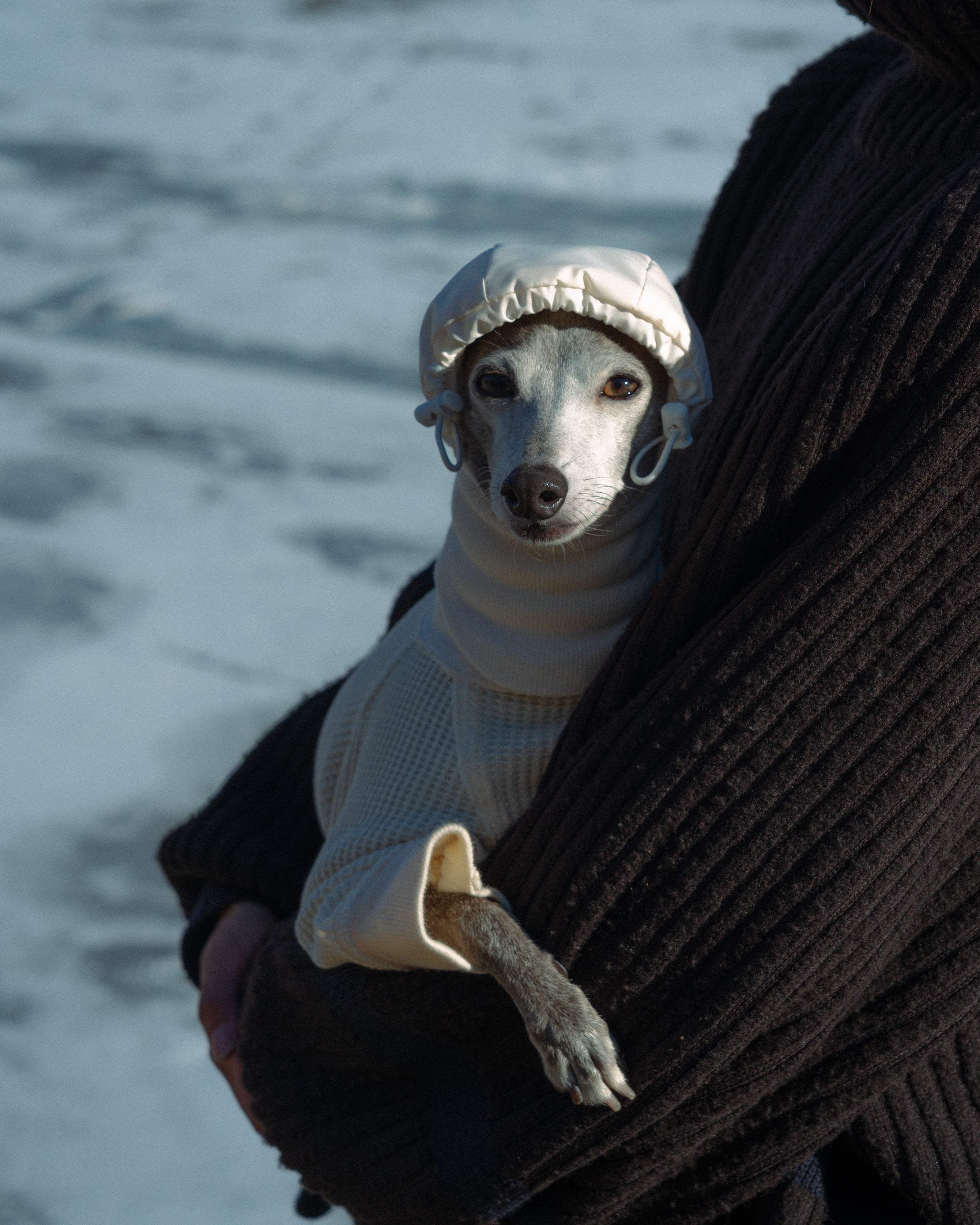 DOG PUFF BALACLAVA 使用イメージ