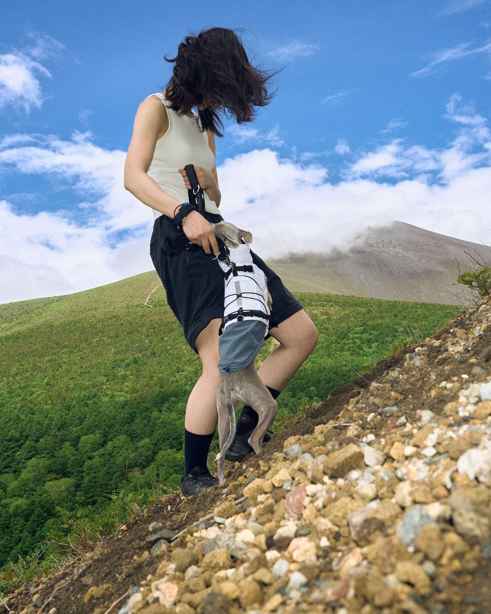 LOOKBOOK – Howly