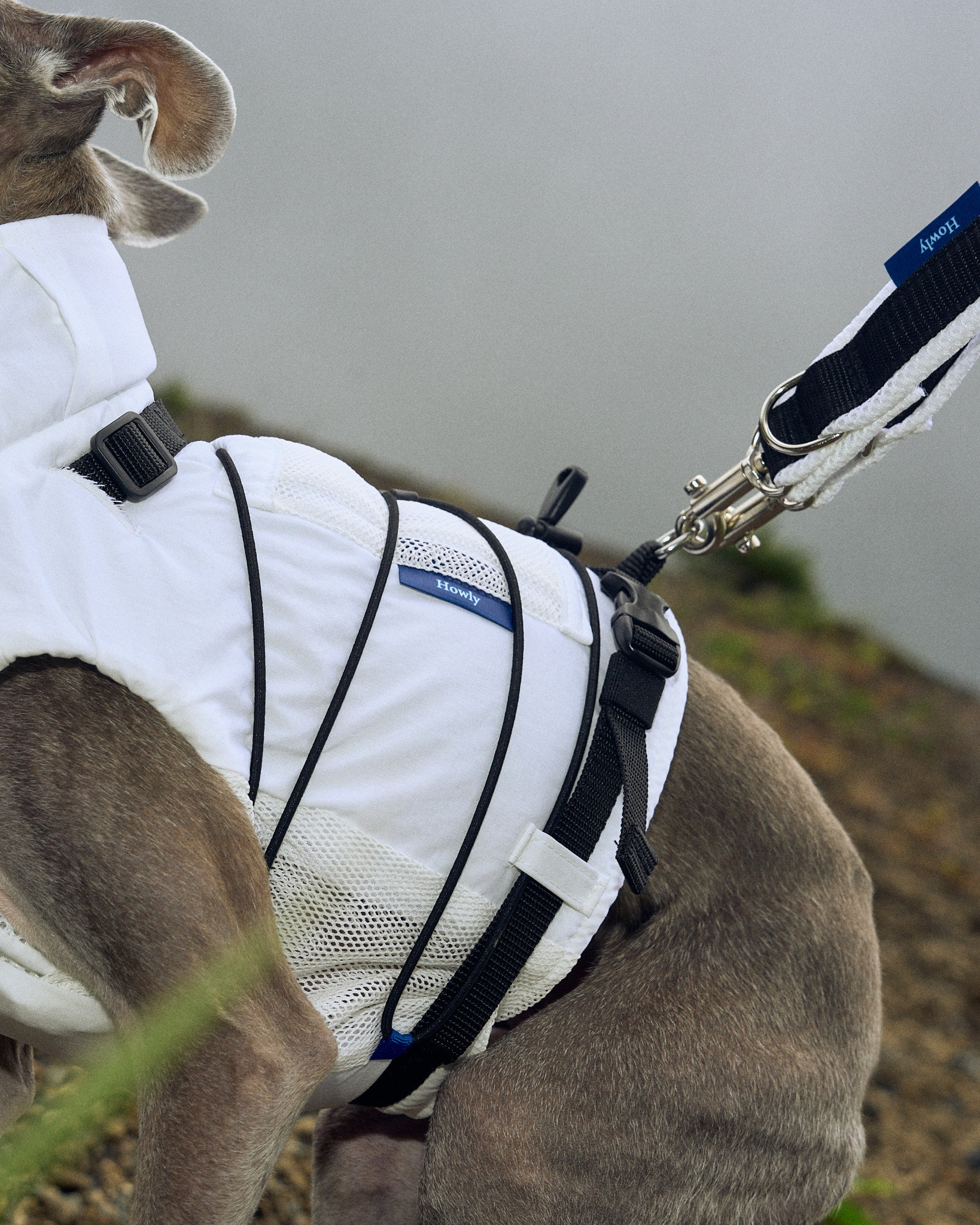 FRAME-X ADV HARNESS | Howly | 収納ポケット付ウェアハーネス｜撥水