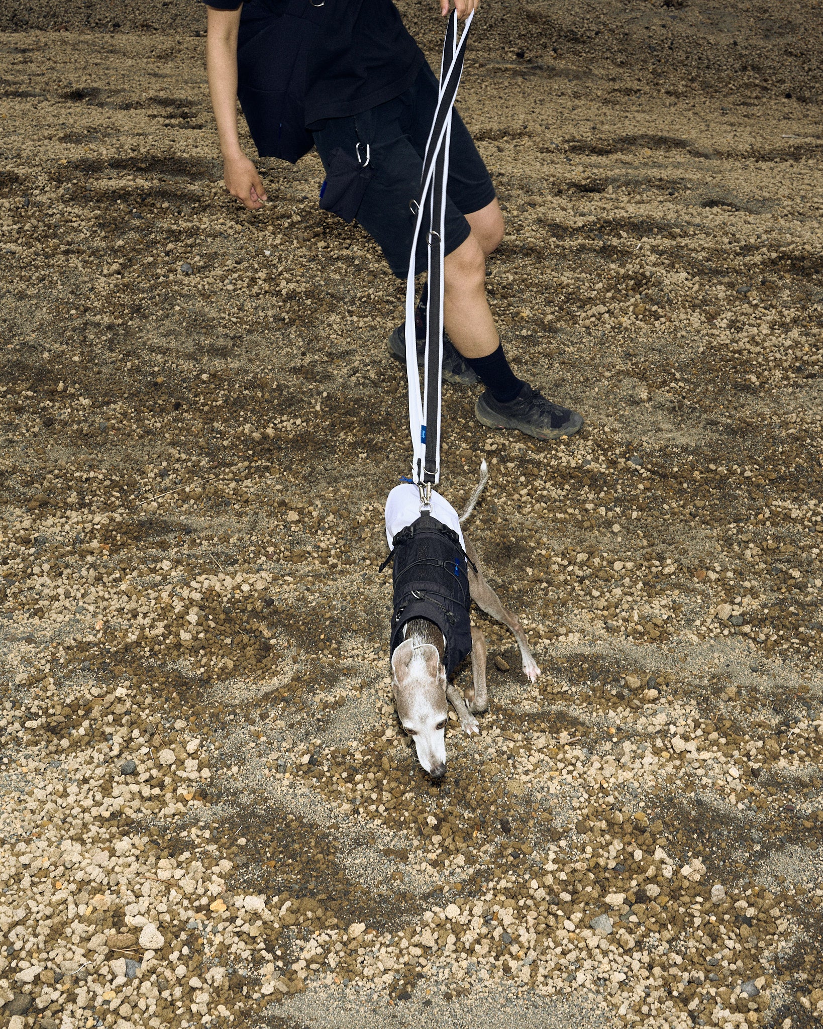 FRAME-X ADV HARNESS | Howly | 収納ポケット付ウェアハーネス｜撥水