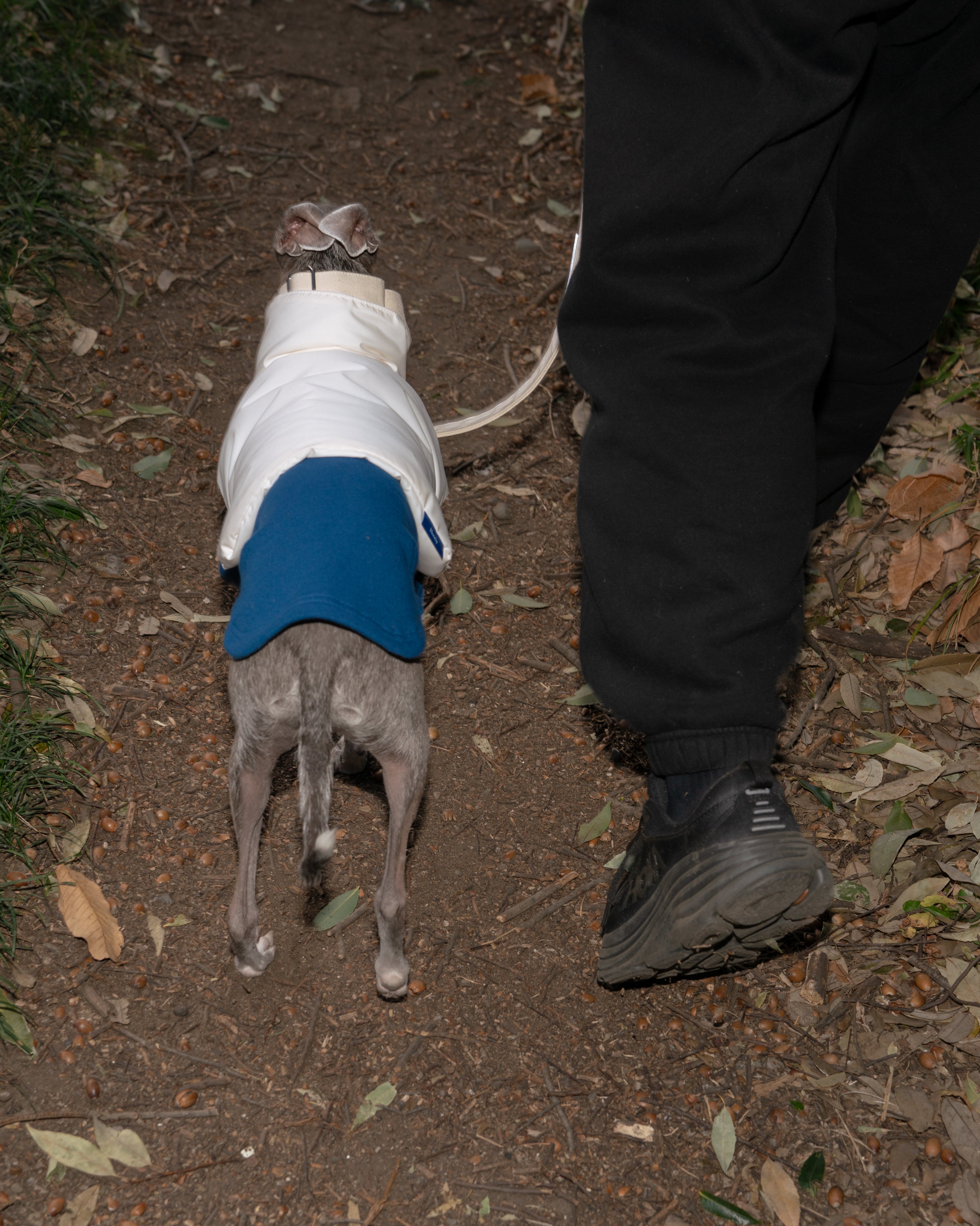 TACTICAL PUFF VEST 使用イメージ