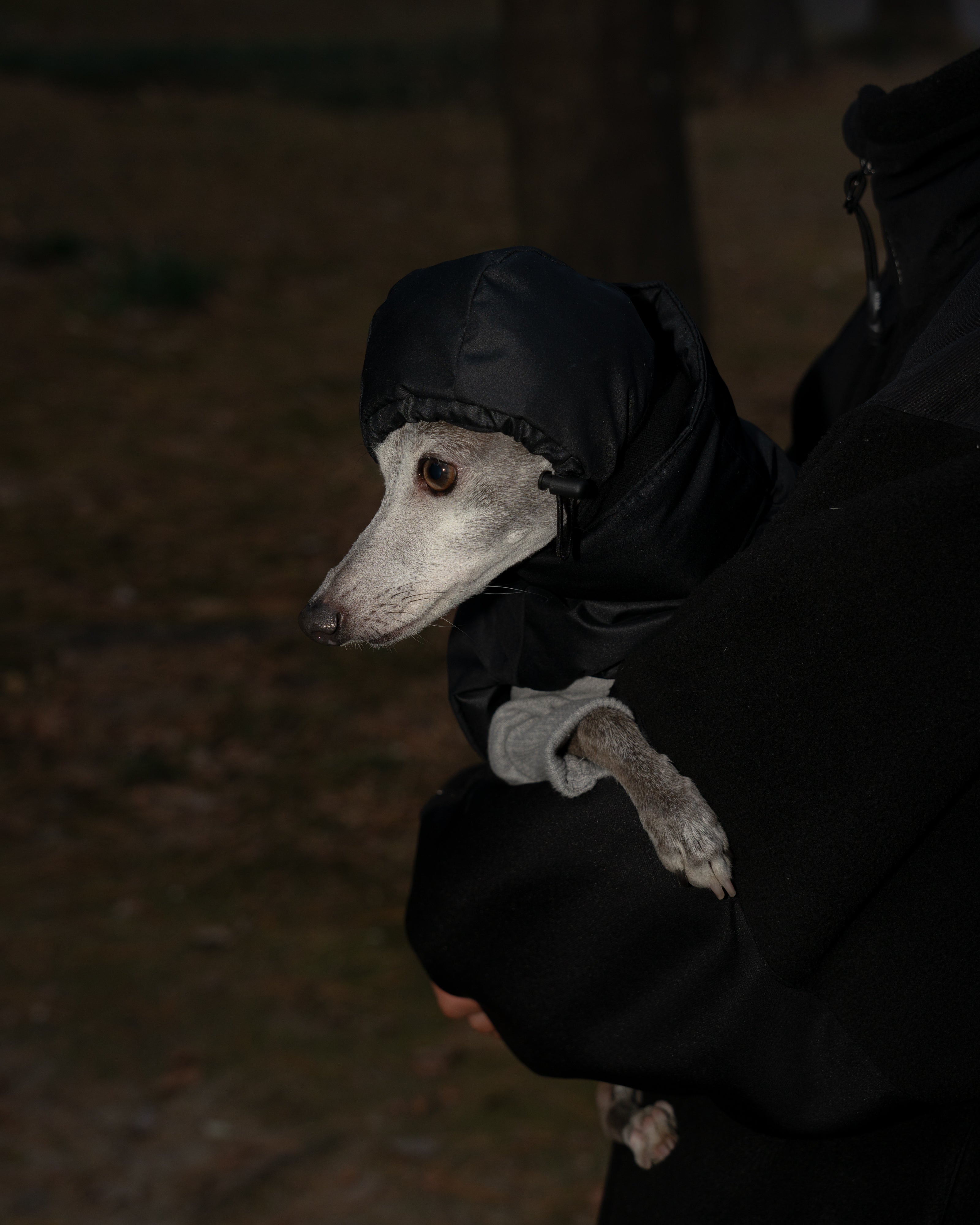 DOG PUFF BALACLAVA 使用イメージ