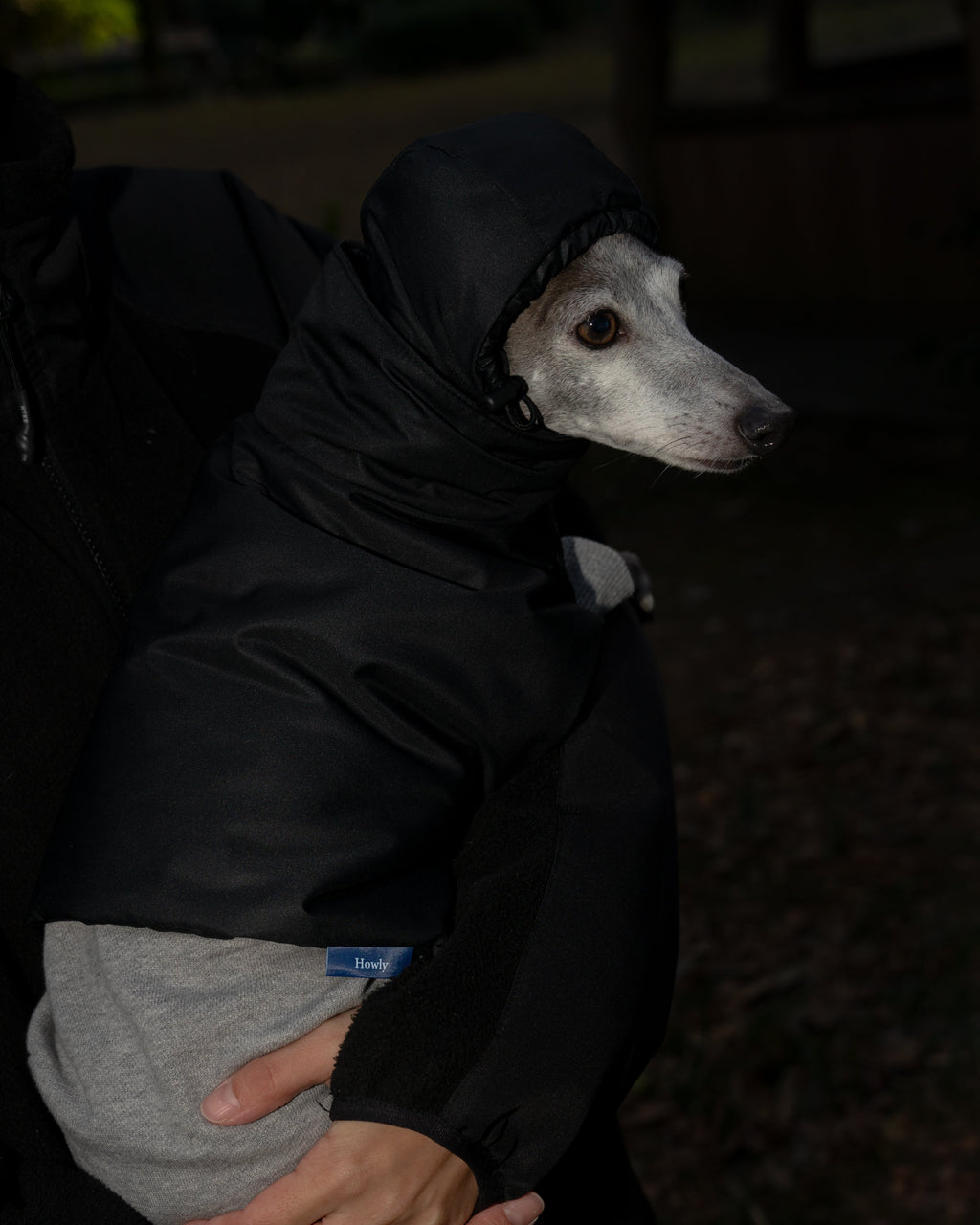 DOG PUFF BALACLAVA 使用イメージ
