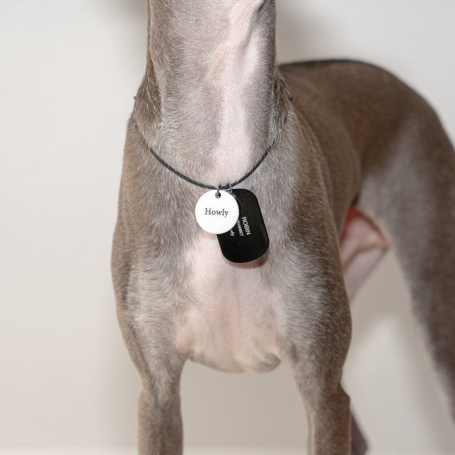 HOWLY DOGTAG type Necklace