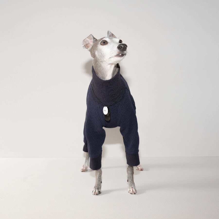 HOWLY DOGTAG type Necklace