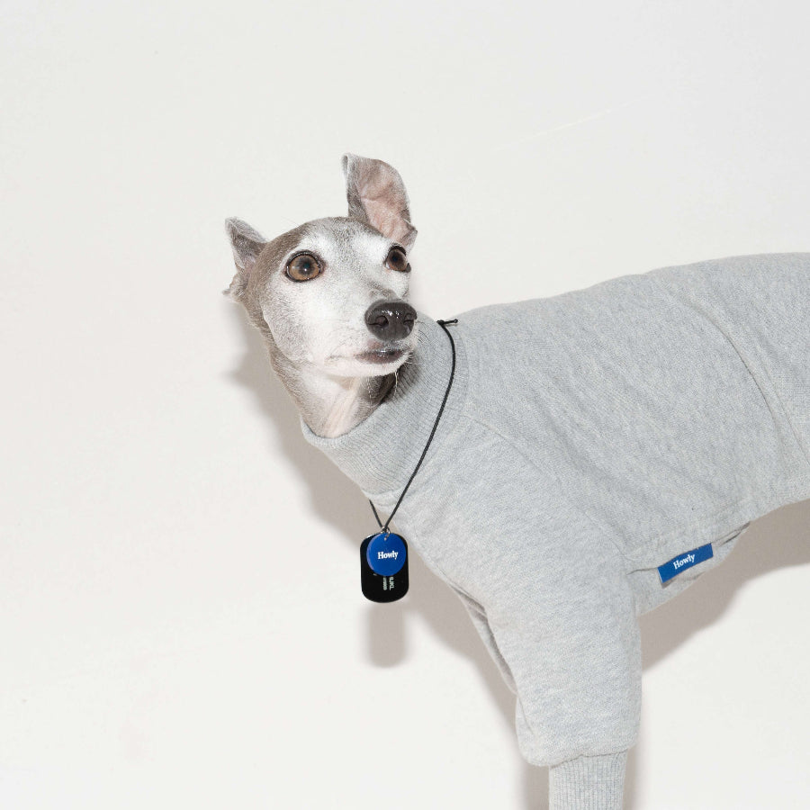 HOWLY DOGTAG type Necklace