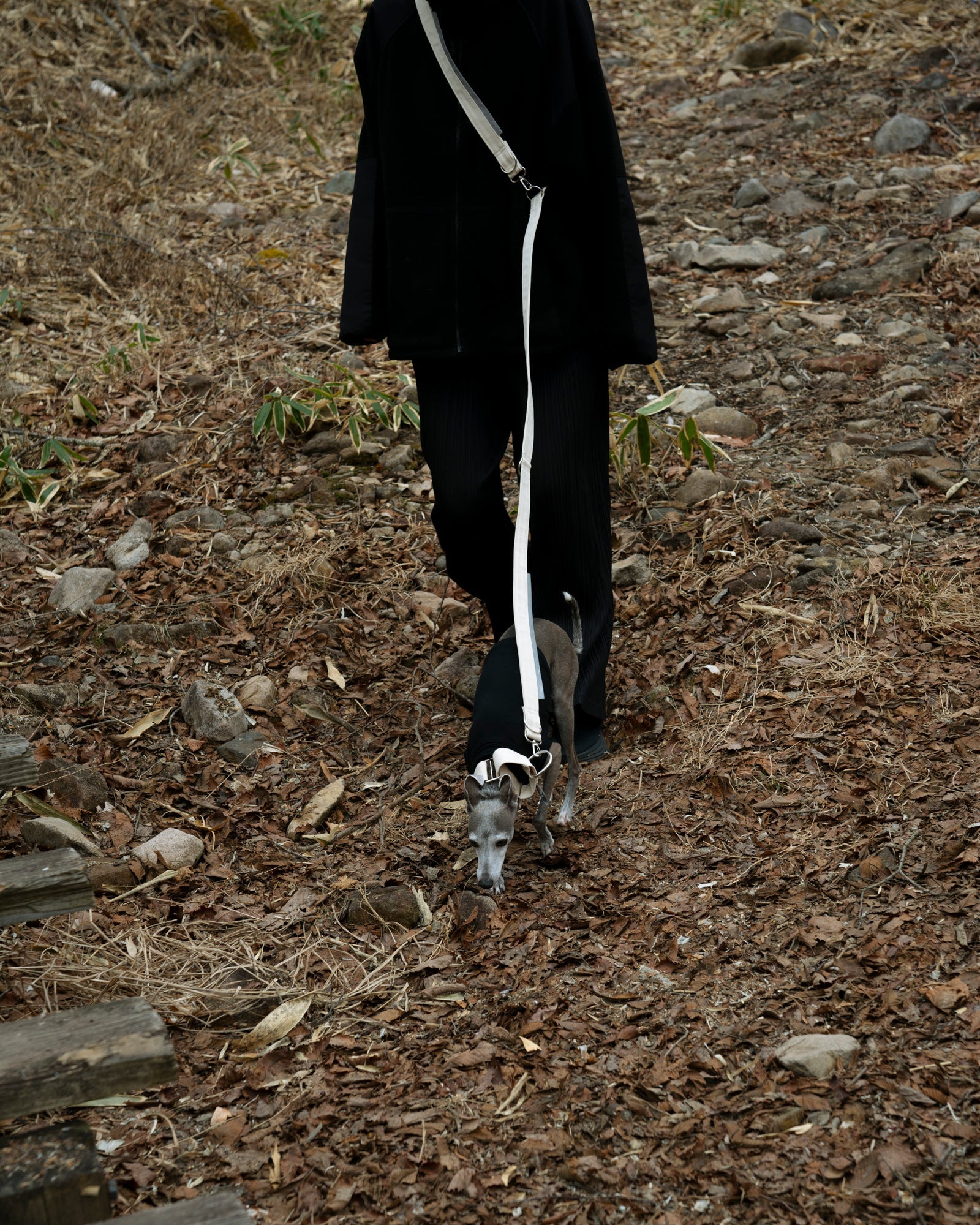HOWLY UNIVERSAL LEASH 使用イメージ
