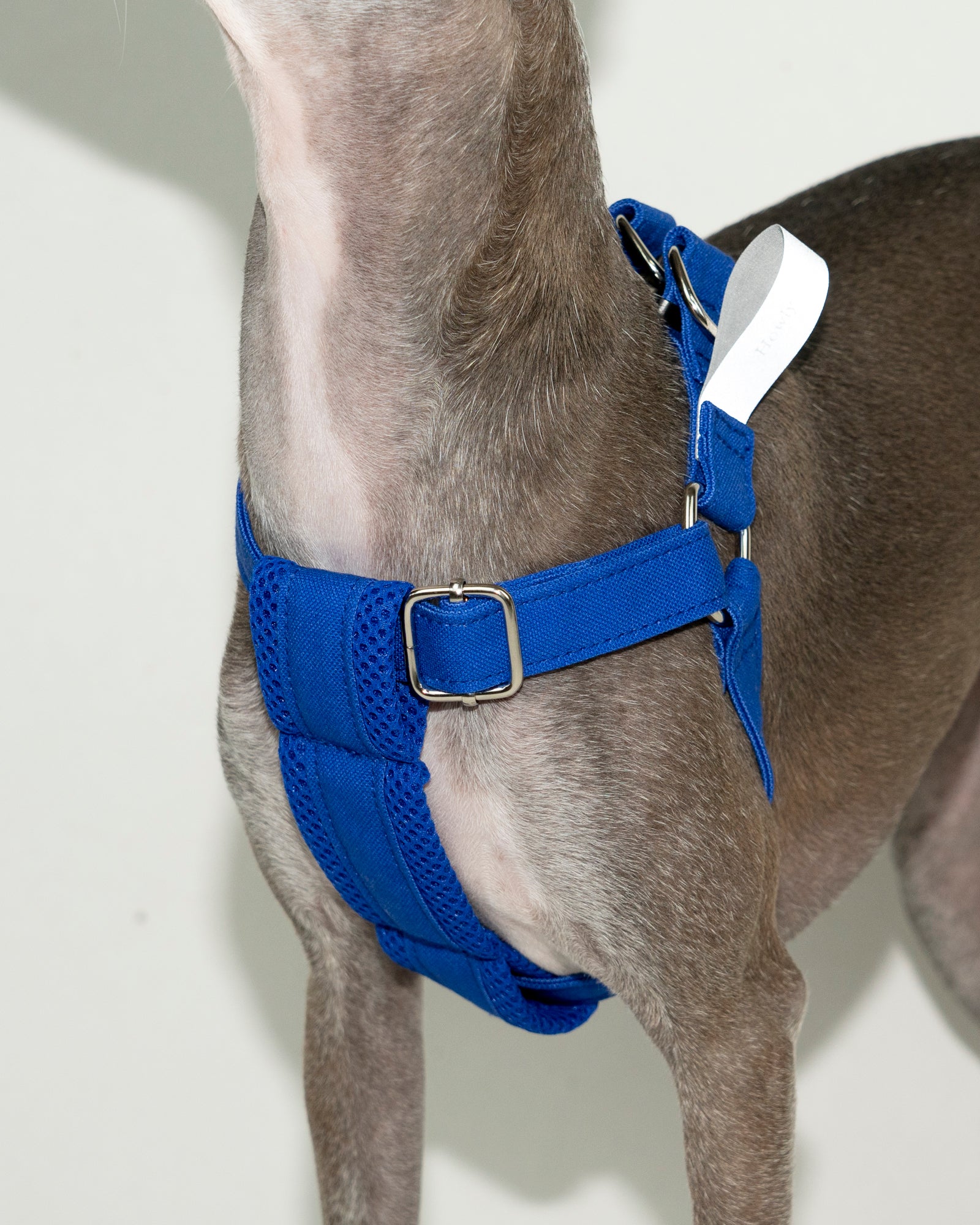 新品・試着のみ】 Howly ハーネスとリードセット Howly ハーネス L