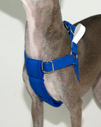 HOWLY UNIVERSAL HARNESS