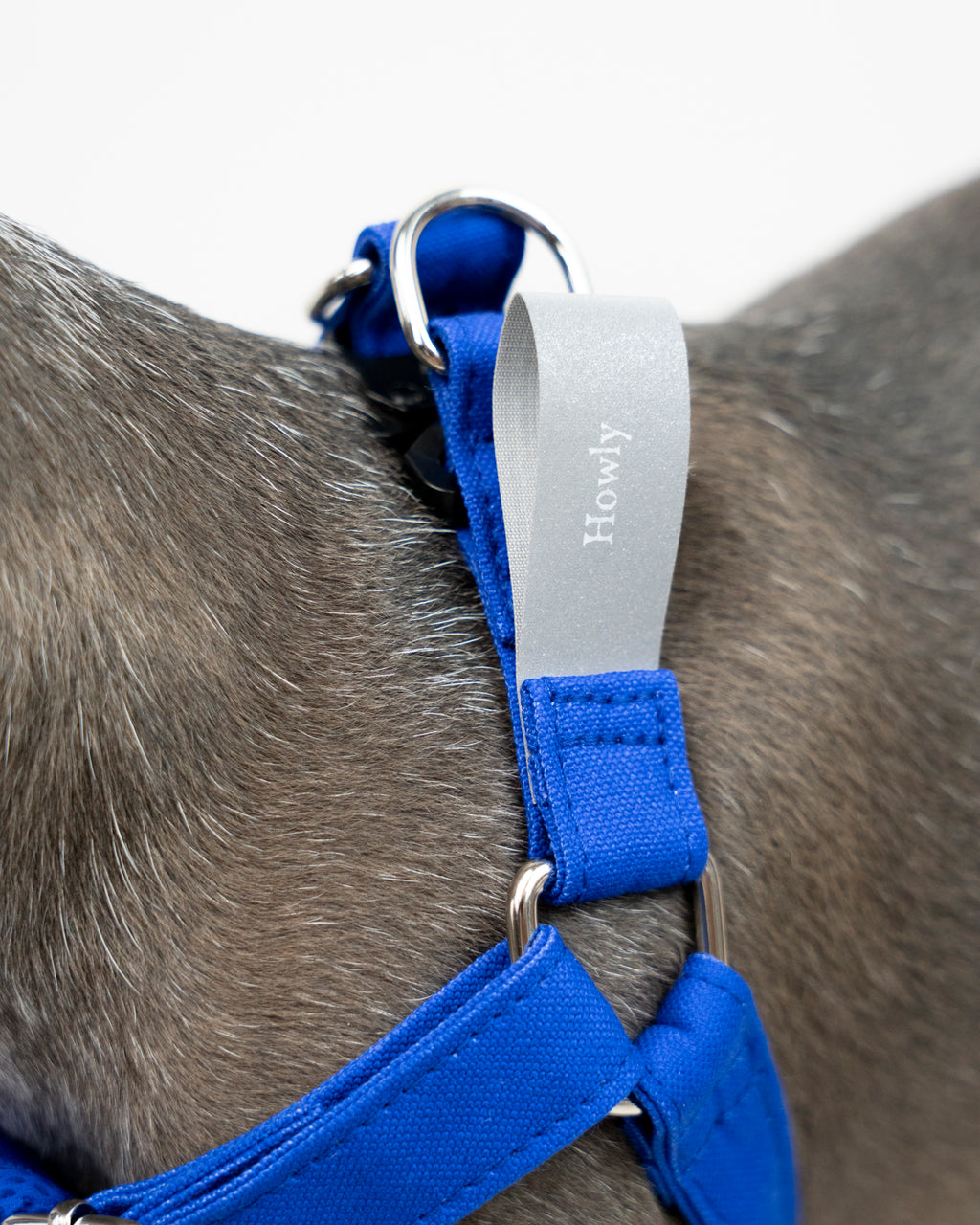 HOWLY UNIVERSAL HARNESS