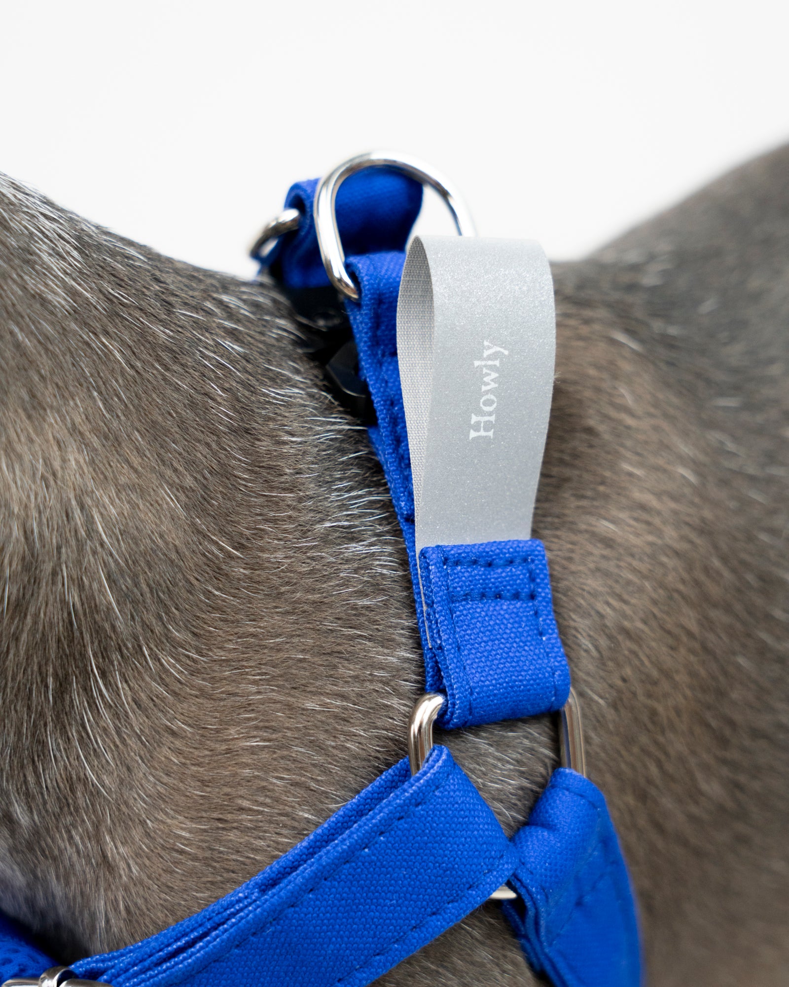 HOWLY UNIVERSAL HARNESS