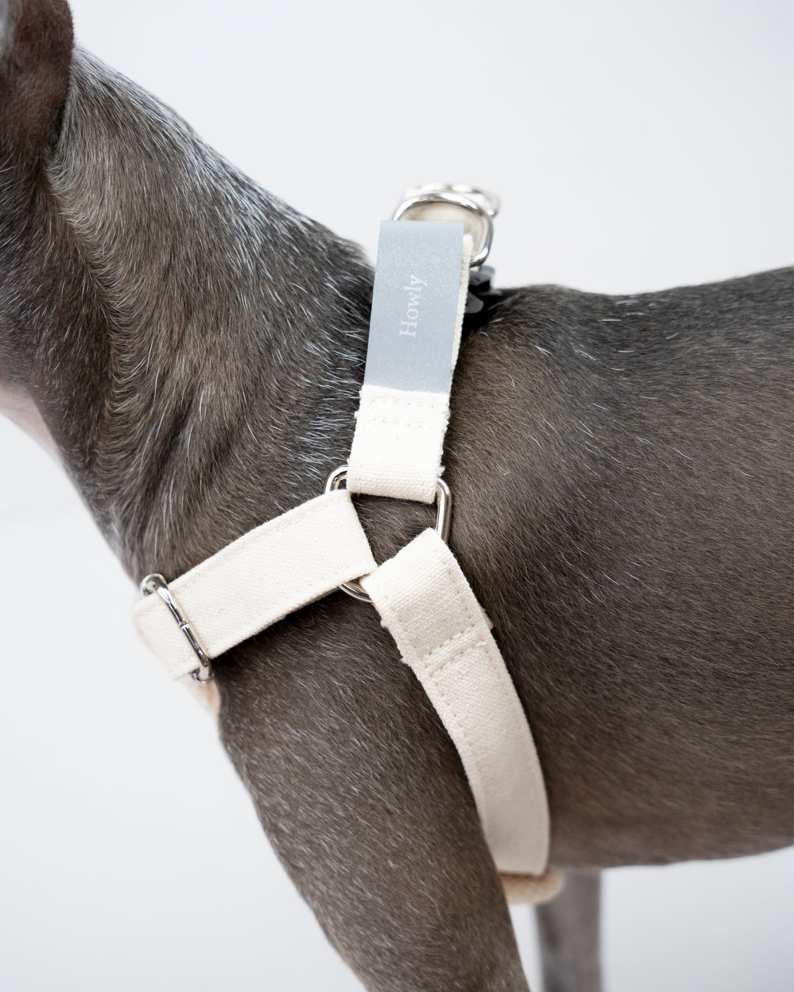 HOWLY UNIVERSAL HARNESS | Howly | シンプルで洗練されたドッグ