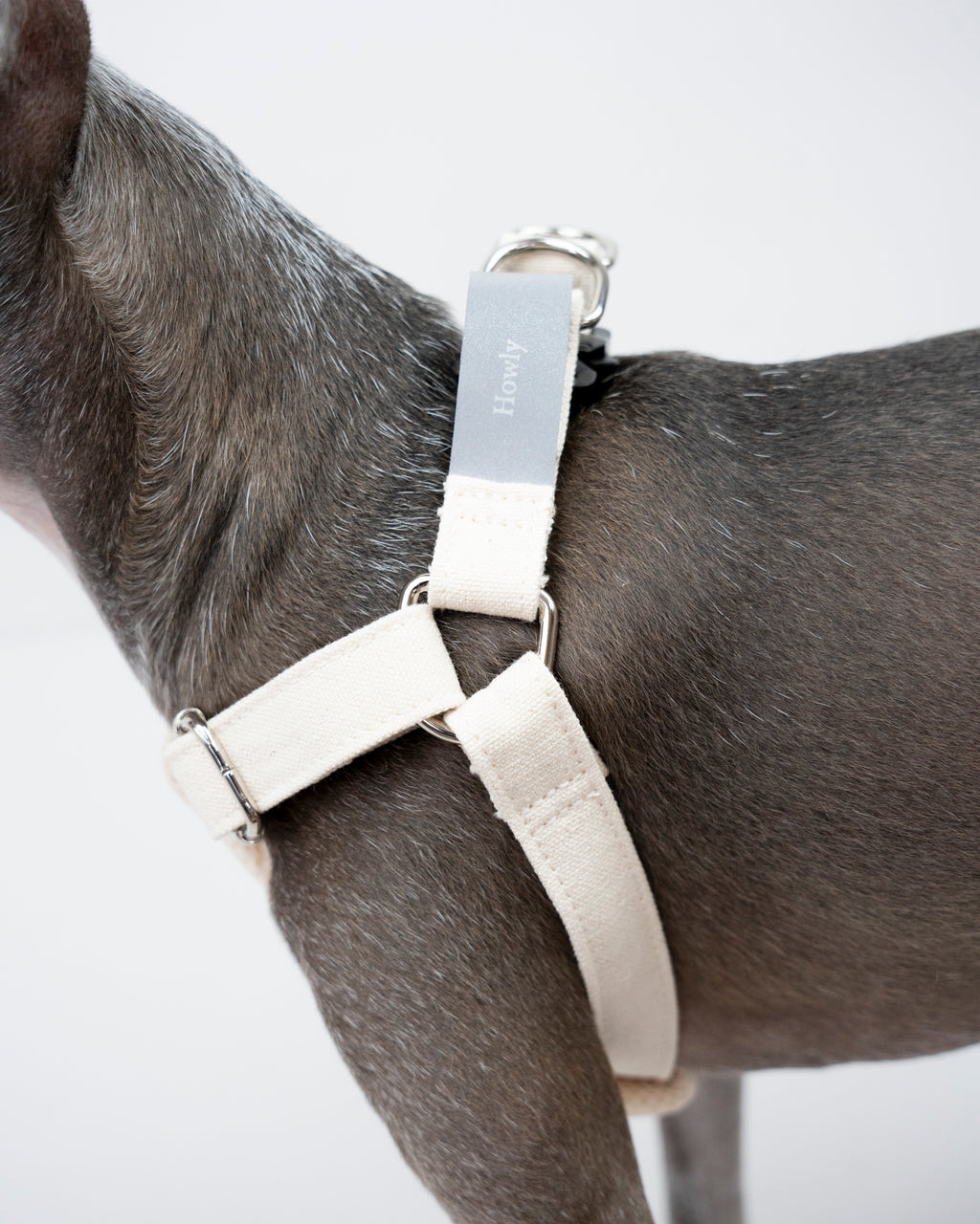 HOWLY UNIVERSAL HARNESS