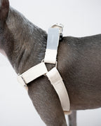 HOWLY UNIVERSAL HARNESS