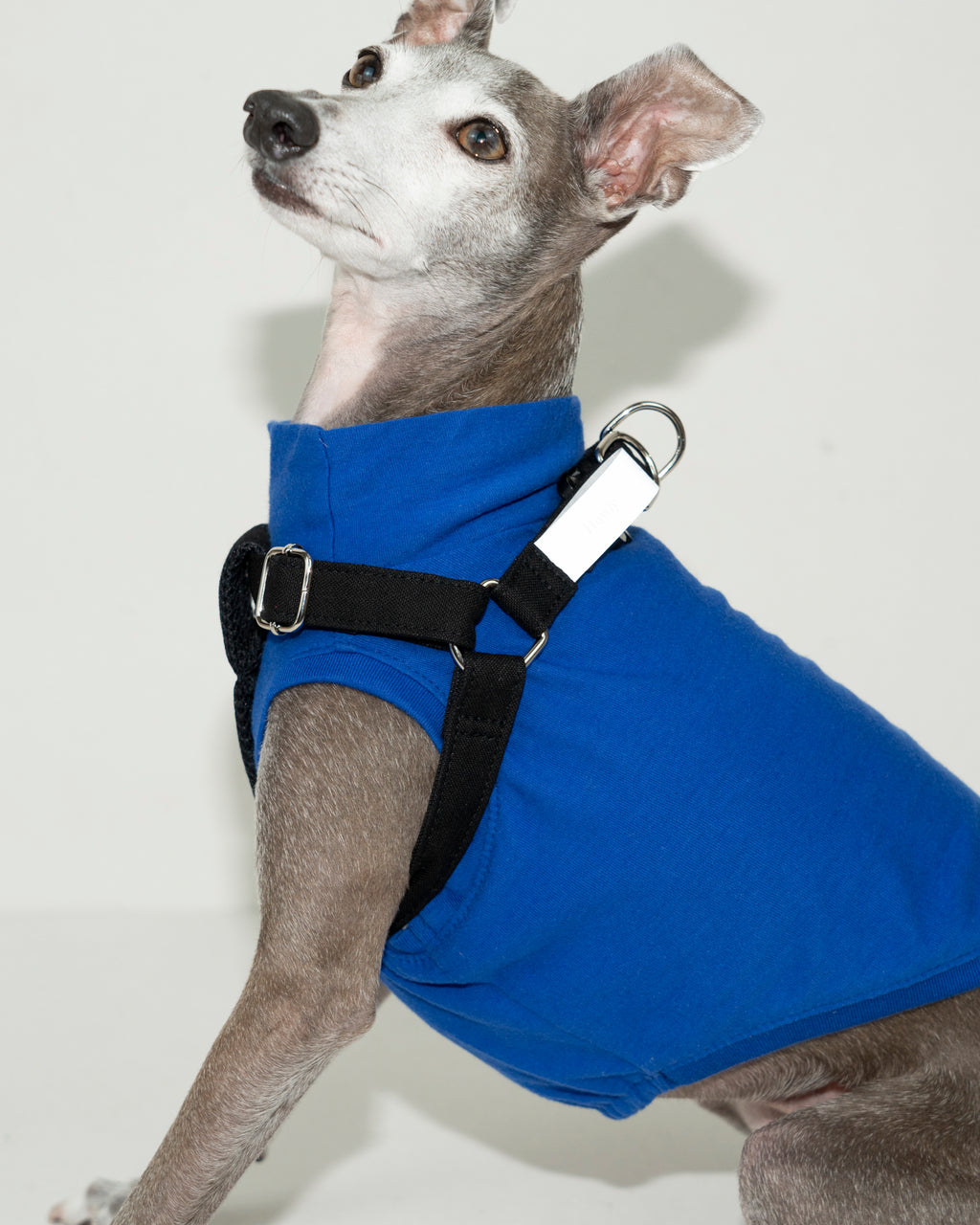 HOWLY UNIVERSAL HARNESS