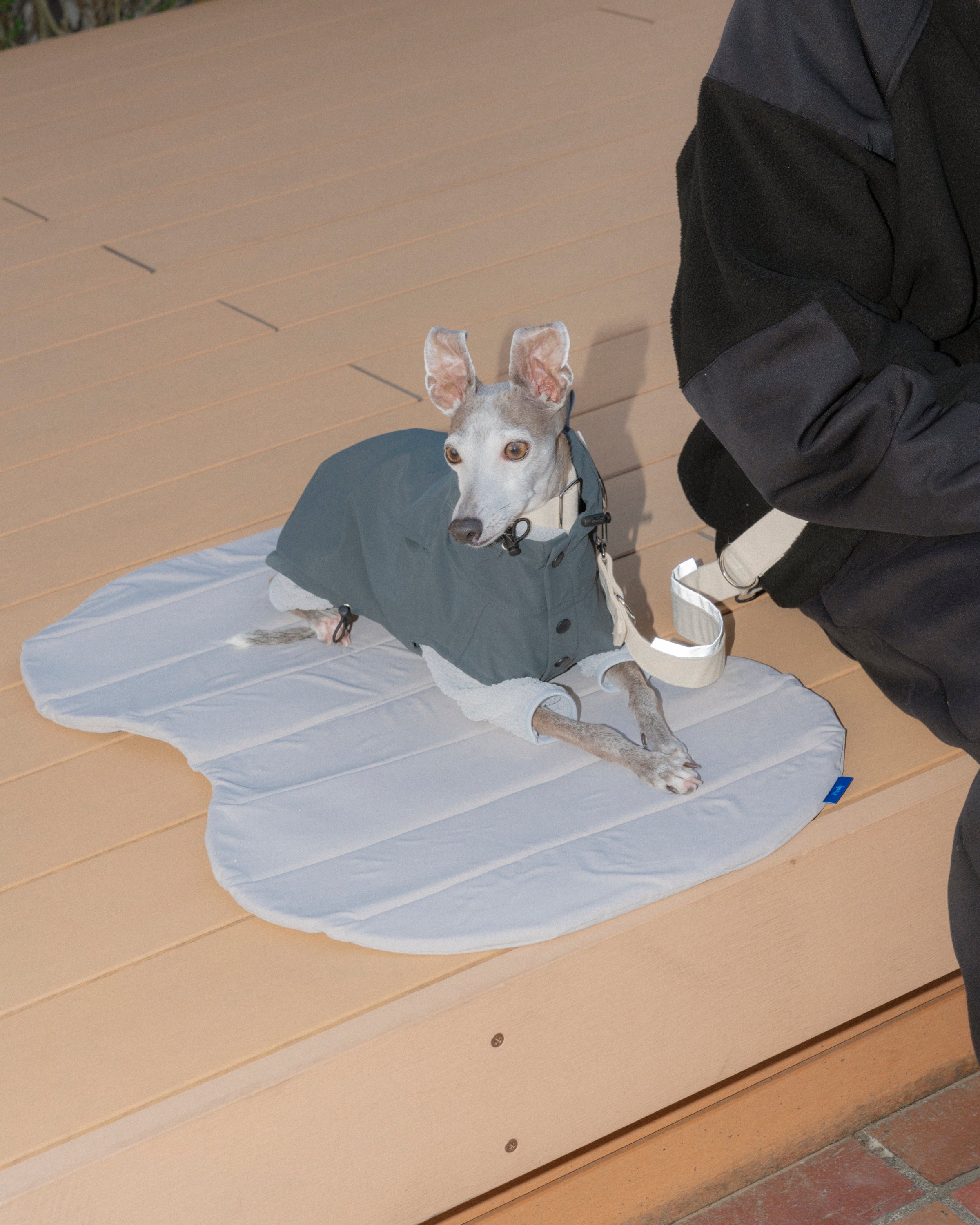 PACKABLE UTILITY DOG MAT 使用イメージ