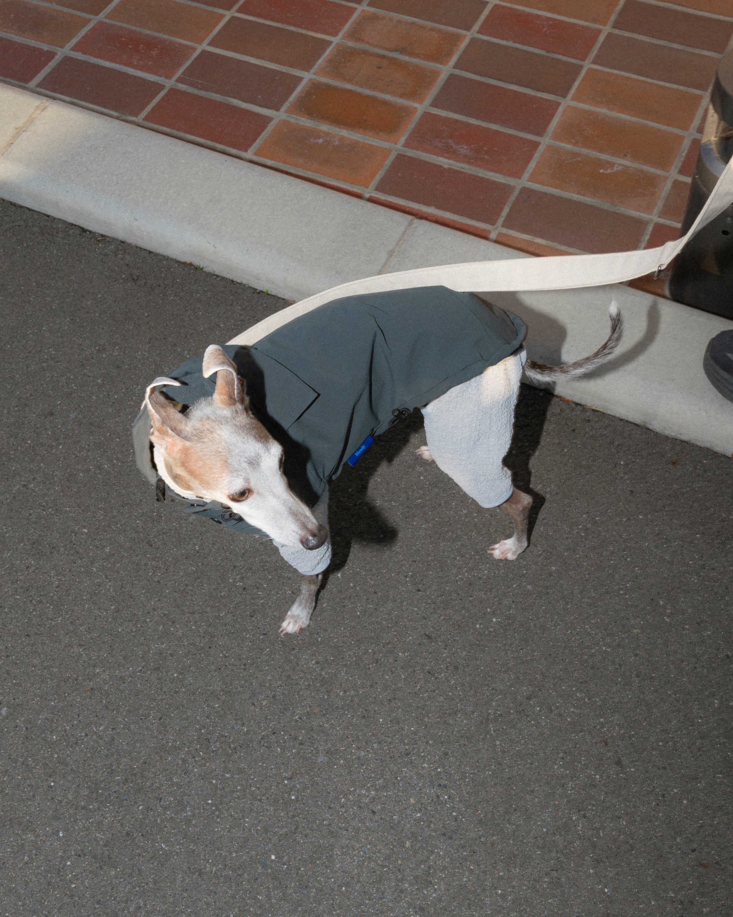 PACKABLE UTILITY ANORAK 使用イメージ