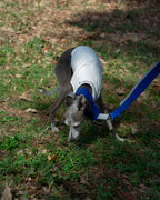 DOG PACK T-SHIRTS sleeveless (Border) 使用イメージ