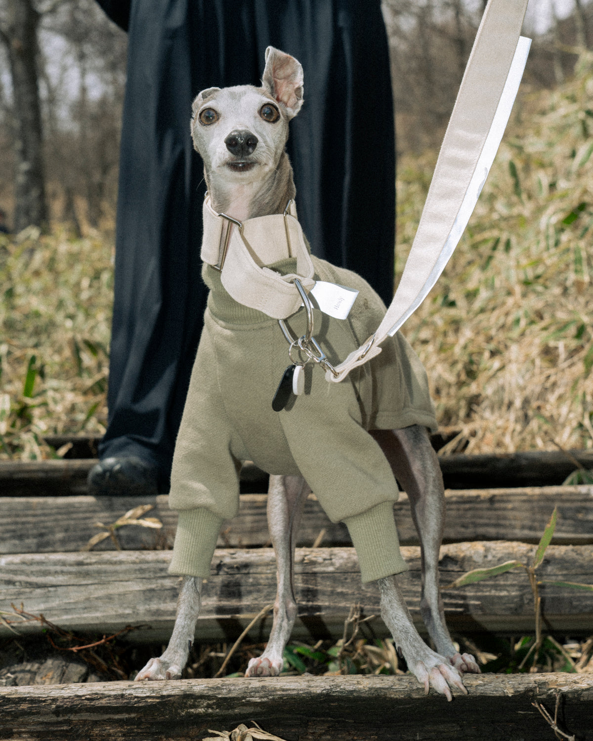 HOWLY UNIVERSAL COLLAR｜Howly | ハーフチョーク犬用首輪 抜けにくい締まる設計4 cm幅帆布カラー・反射タグ付き