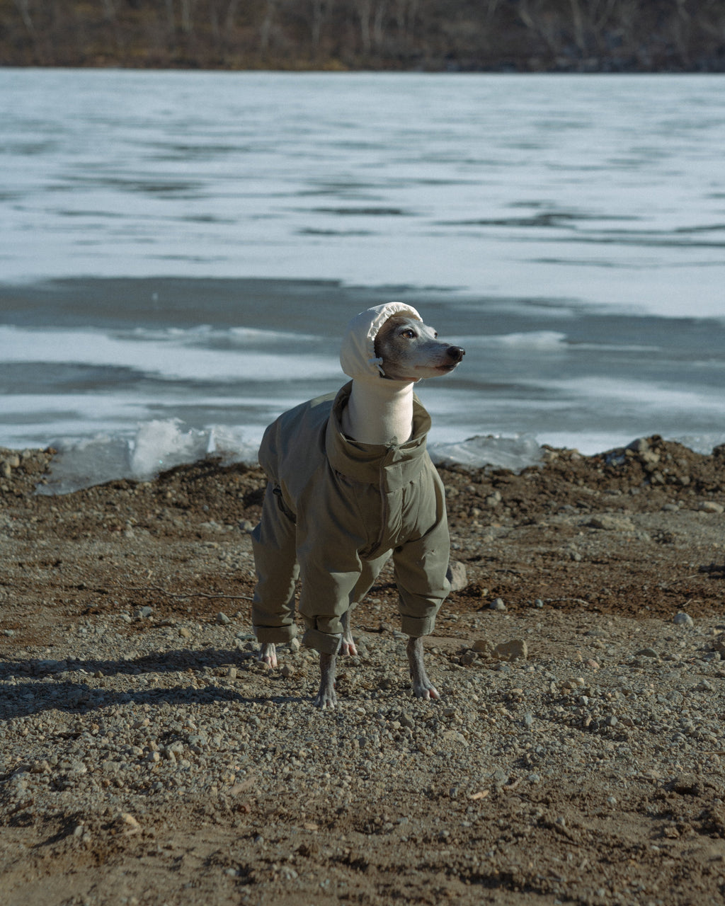 DOG PUFF BALACLAVA 使用イメージ
