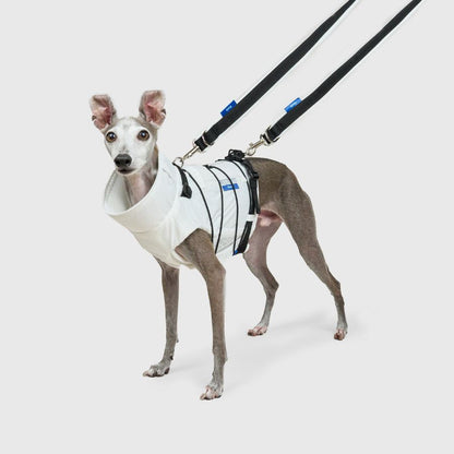 FRAME-X ADV HARNESS