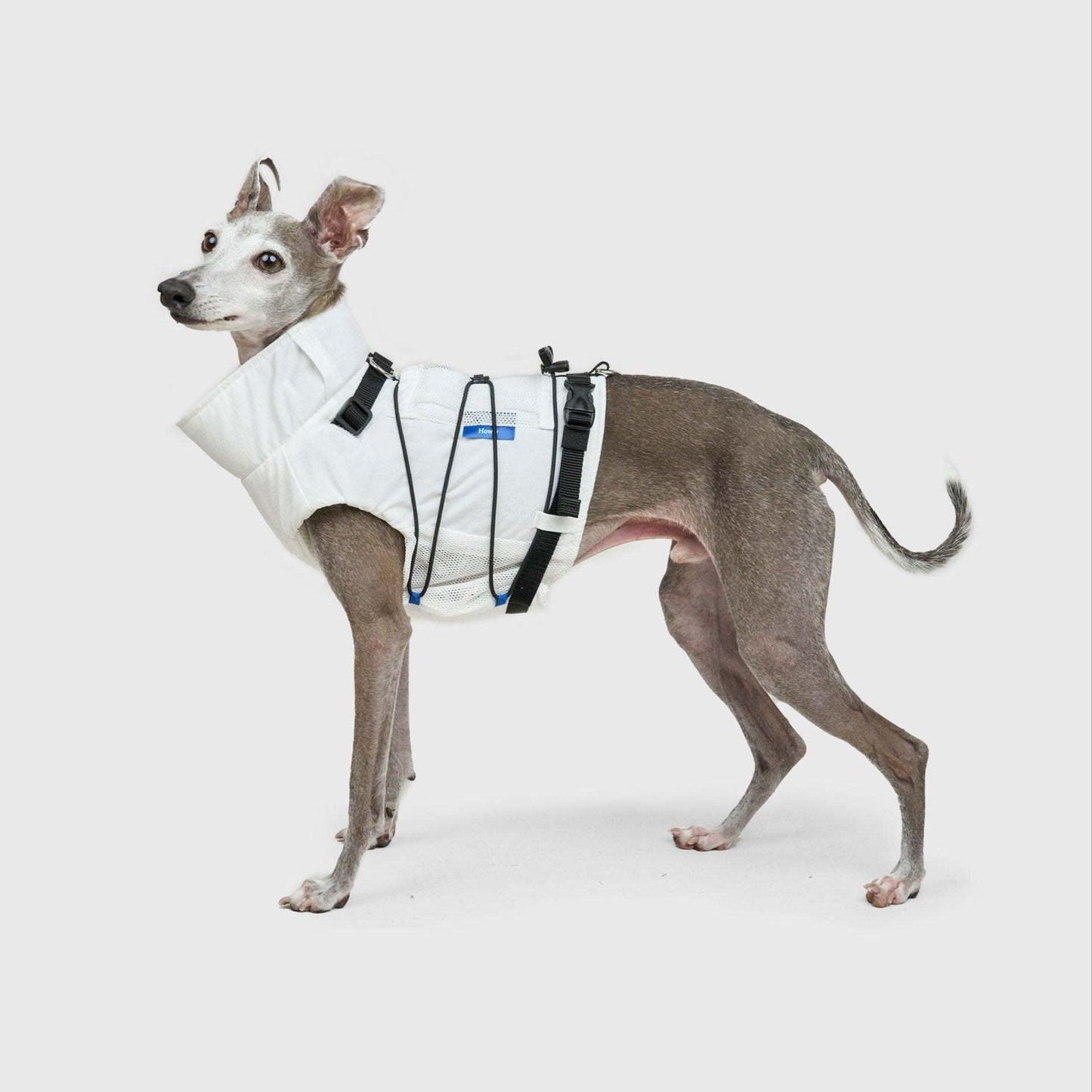 FRAME-X ADV HARNESS