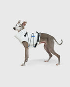 FRAME-X ADV HARNESS