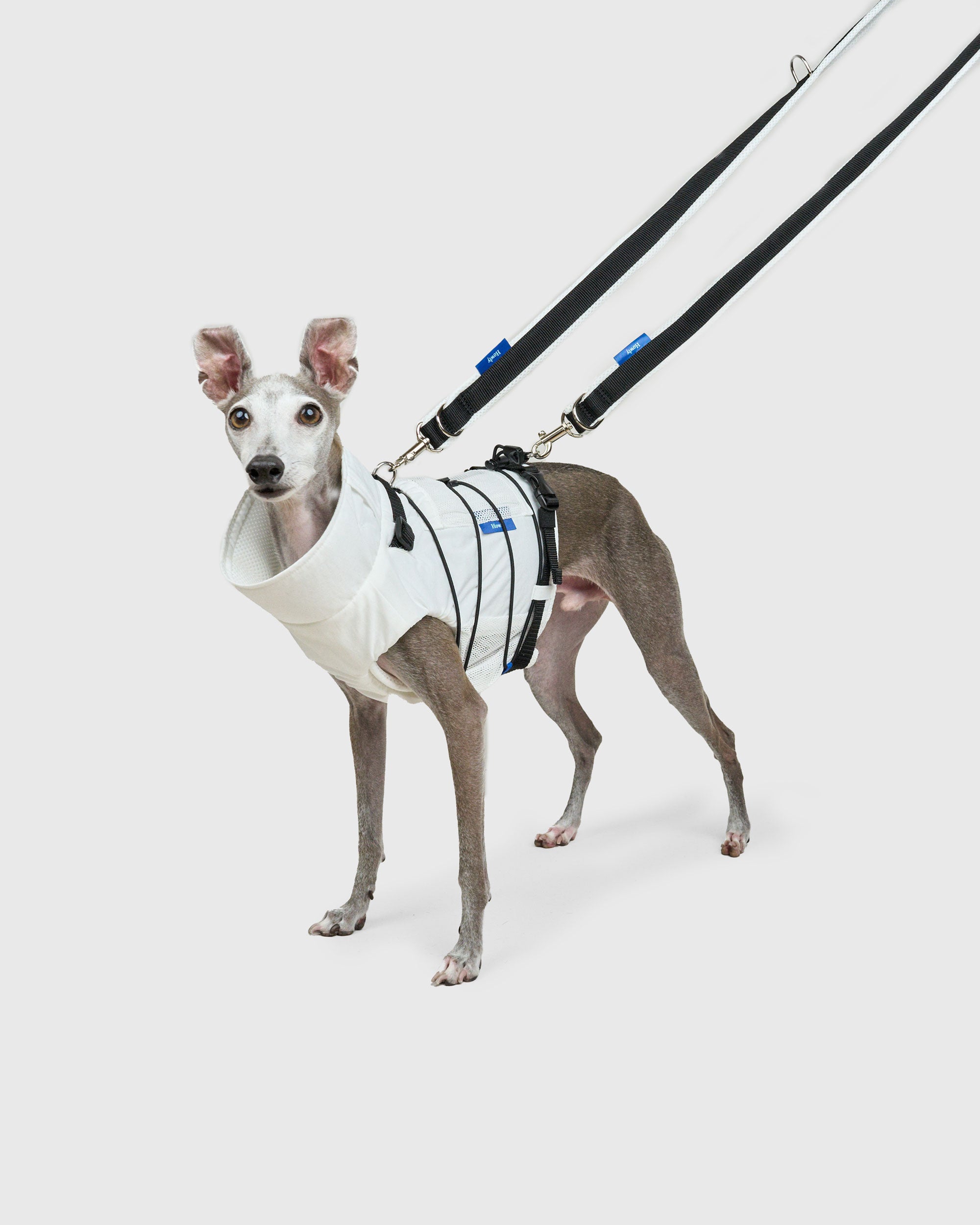 HOWLY UNIVERSAL LEASH ADV