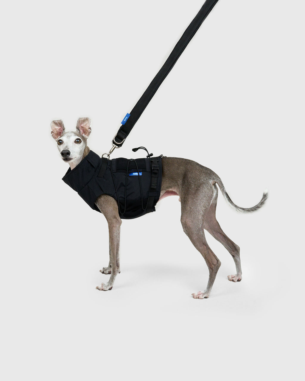 HOWLY UNIVERSAL LEASH ADV