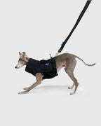HOWLY UNIVERSAL LEASH ADV