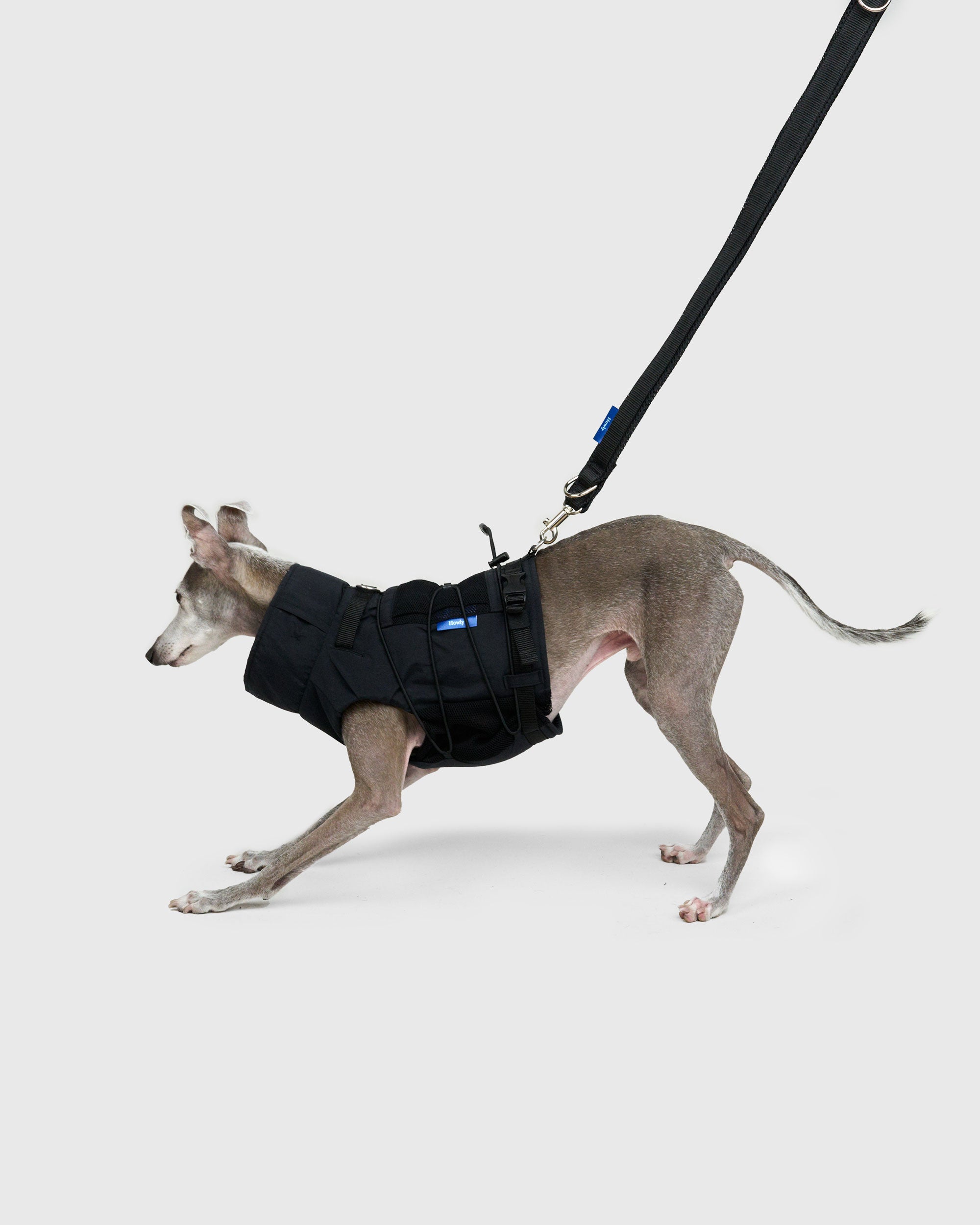 HOWLY UNIVERSAL LEASH ADV