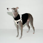 HOWLY UNIVERSAL HARNESS | ドッグハーネス