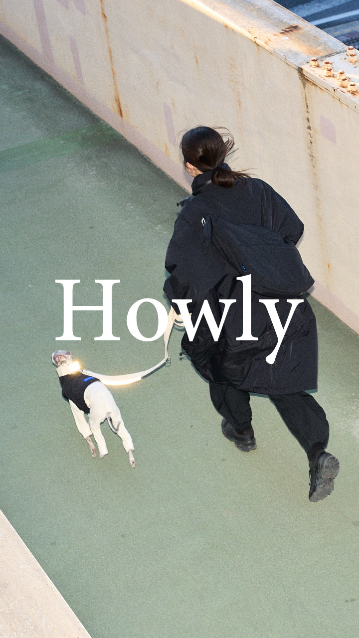 Howly Official Online Shop | New Standard for Dogs | MADE IN JAPAN