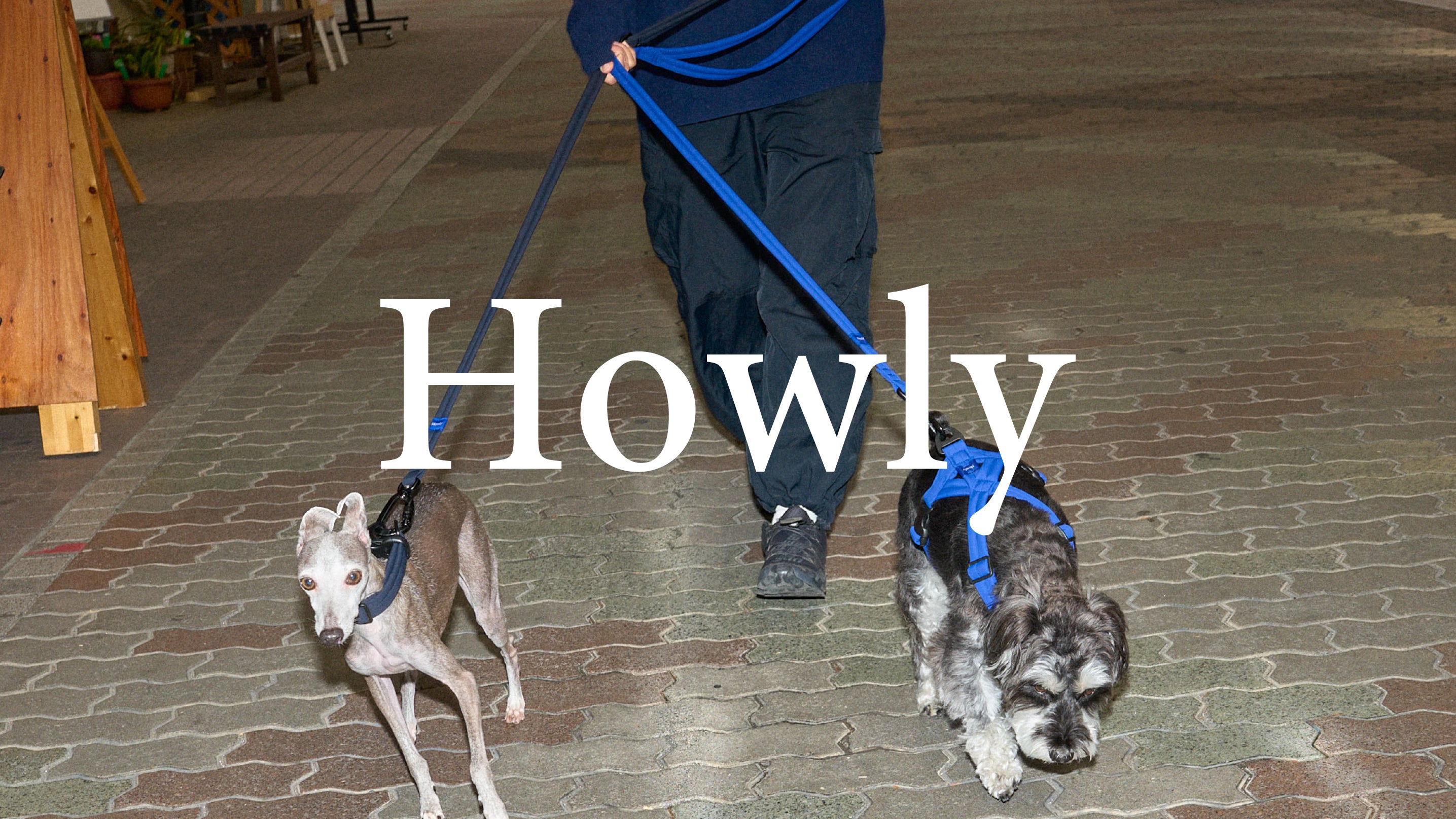 HP_top_d64e87d5-1cca-4f42-a36f