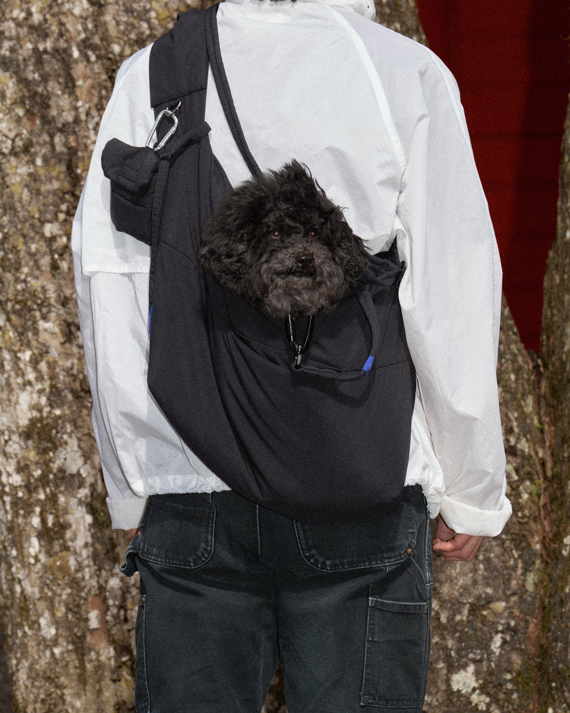 LOOKBOOK – Howly