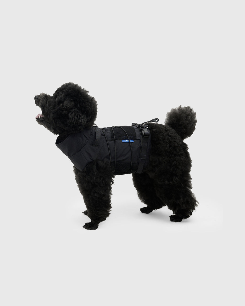 FRAME-X ADV HARNESS