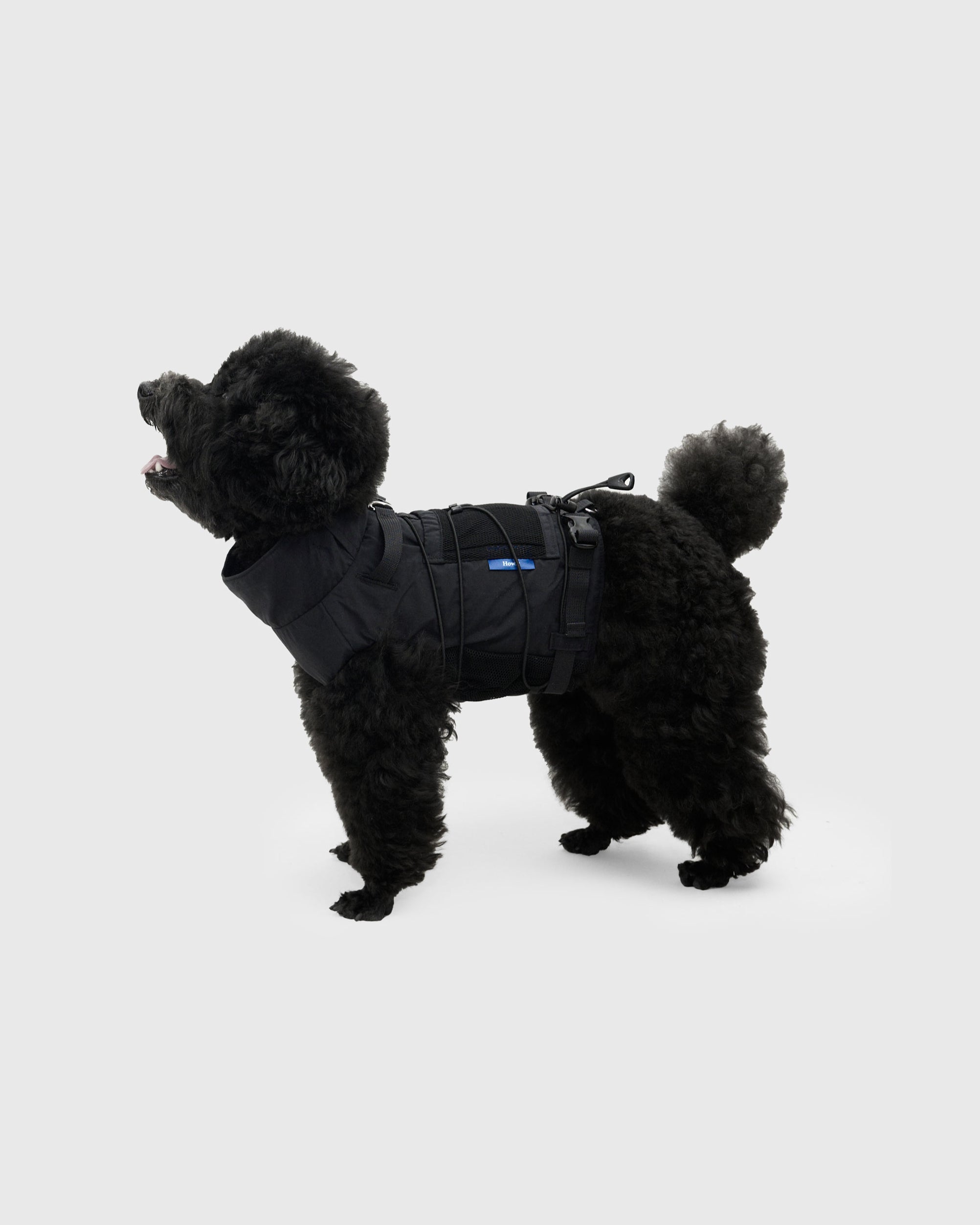 FRAME-X ADV HARNESS