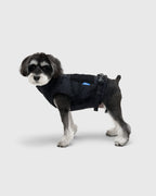 FRAME-X ADV HARNESS