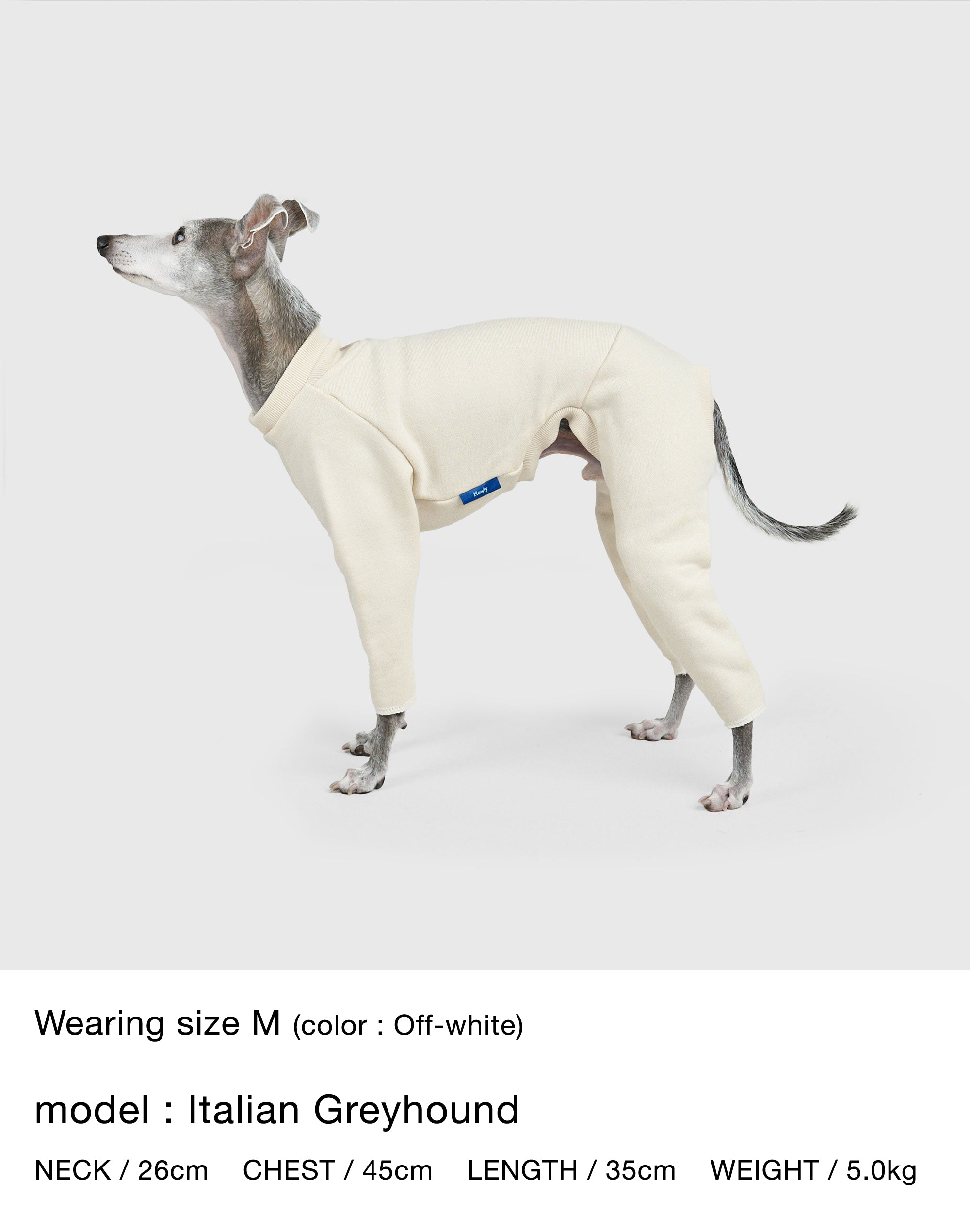 WARM SWEAT ROMPERS（cutoff）| カスタム可能 裏パイル保温 ドッグ