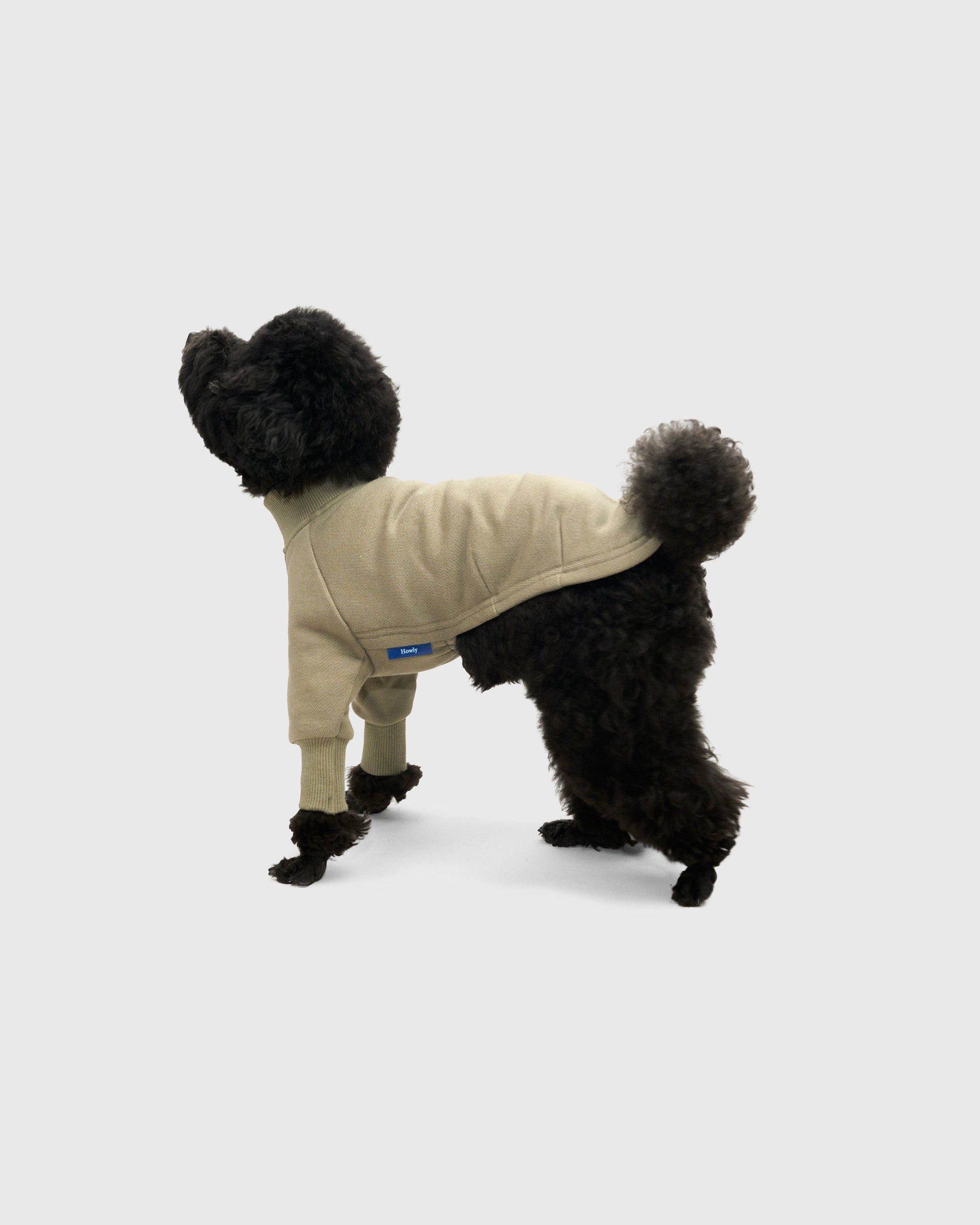MOCKNECK SWEAT SHIRTS