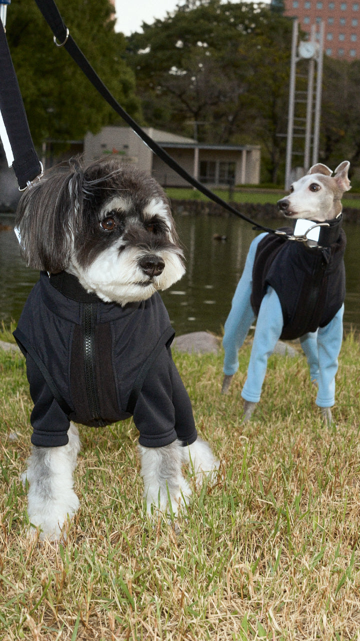 Howly Official Online Shop | New Standard for Dogs | MADE IN JAPAN